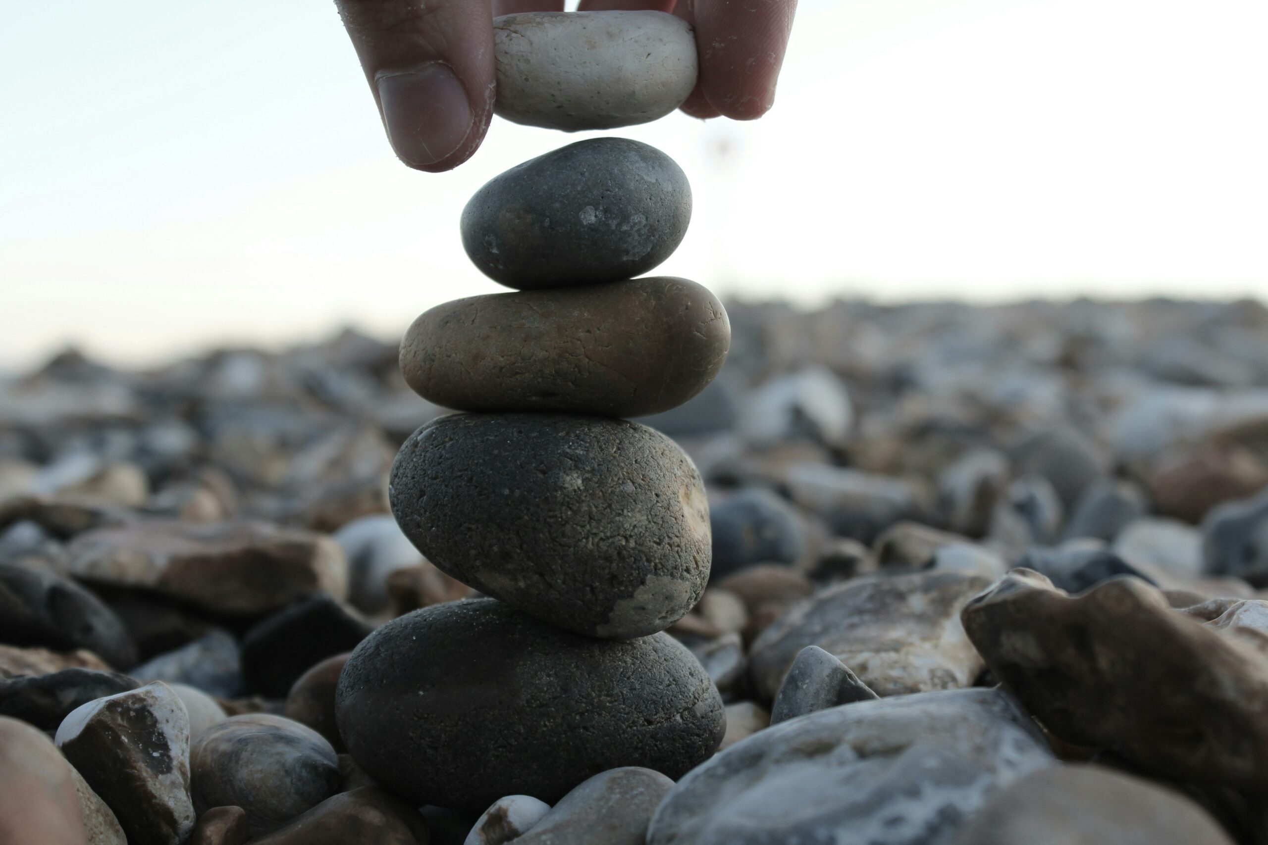 Zen_Avec_CHECKDEV